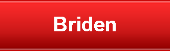 Briden logo